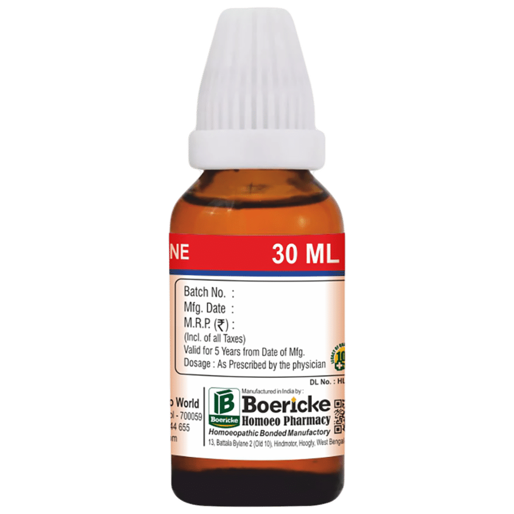 Dr. Majumder Homeo World Cantharis Mother Tincture (30ml Each) Q Dr. Majumder Homeo World Cantharis Mother Tincture (30ml Each) Q