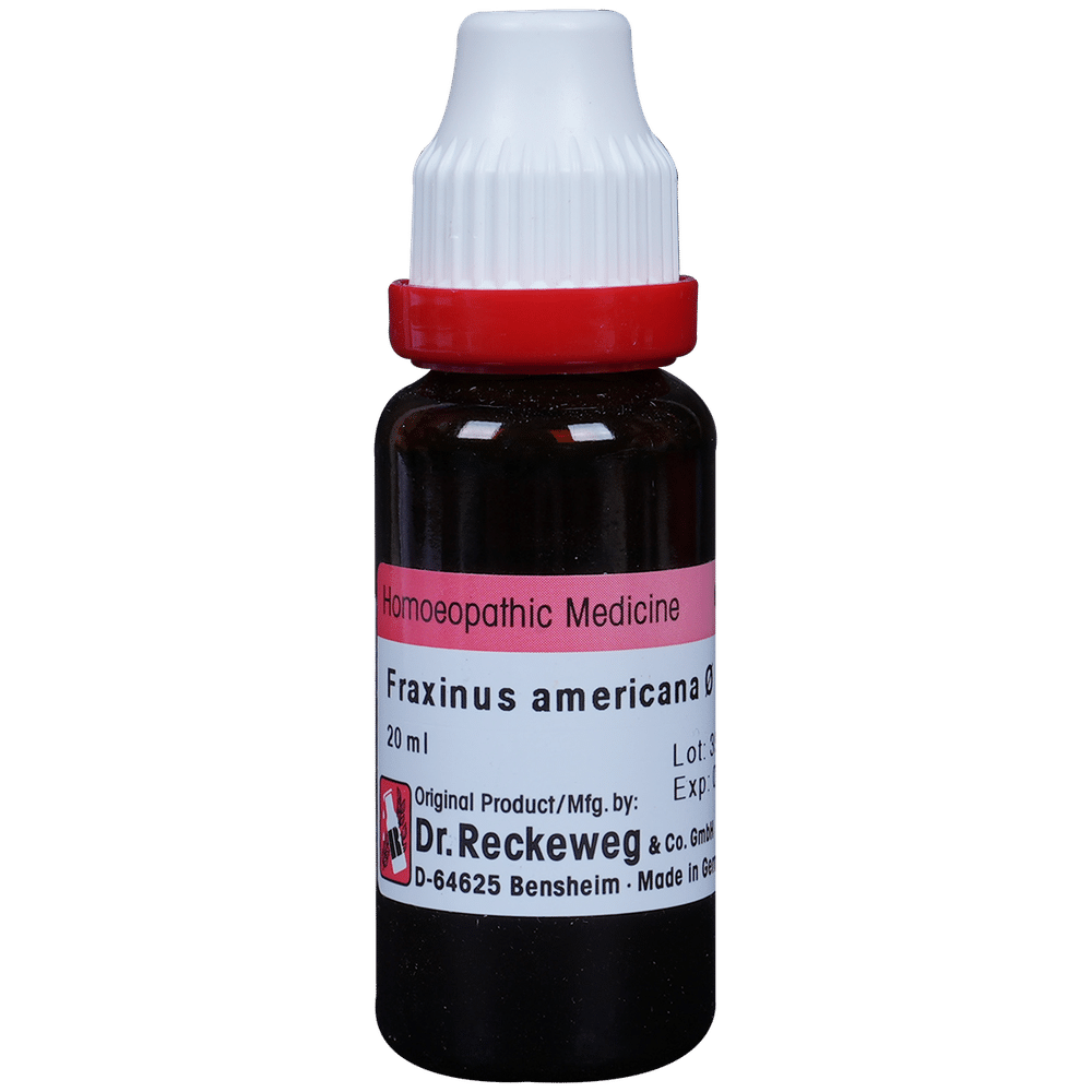 Dr. Reckeweg Fraxinus Amer Mother Tincture Q Dr. Reckeweg Fraxinus Amer Mother Tincture Q
