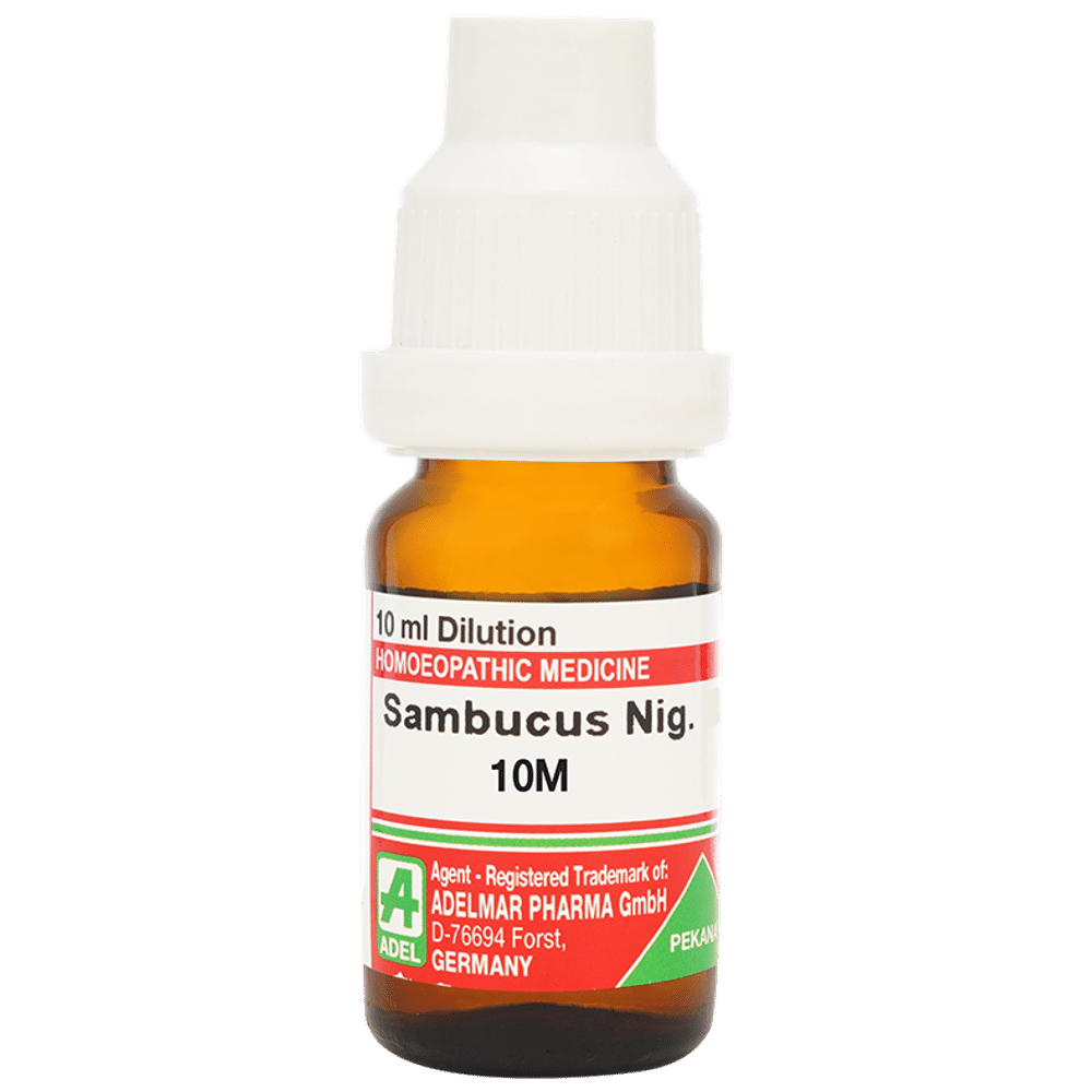 ADEL Sambucus Nig Dilution 10M ADEL Sambucus Nig Dilution 10M