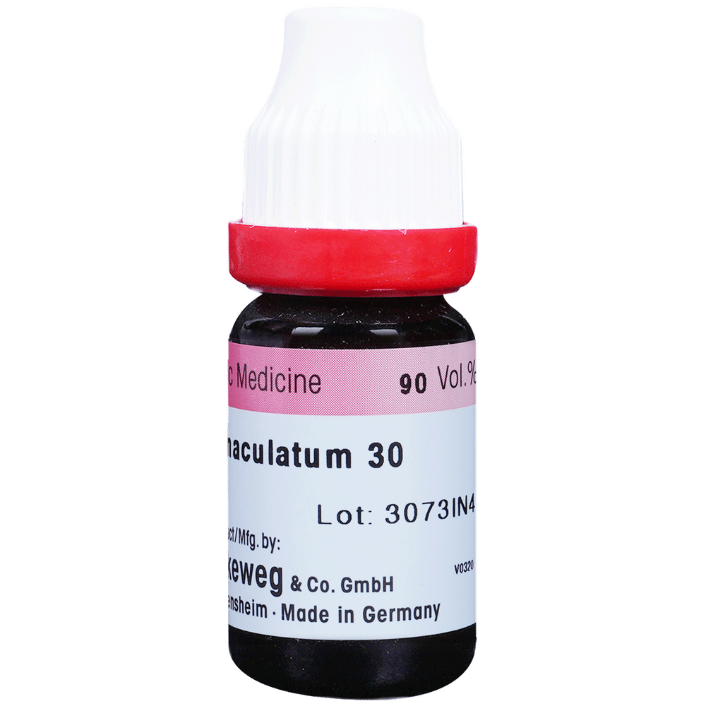 Dr. Reckeweg Conium Mac Dilution 30 CH Dr. Reckeweg Conium Mac Dilution 30 CH