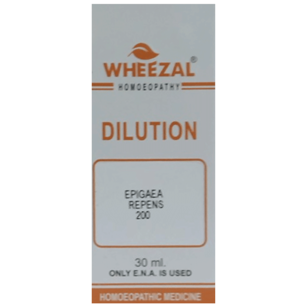 Wheezal Epigaea repnes Dilution 200 Wheezal Epigaea repnes Dilution 200