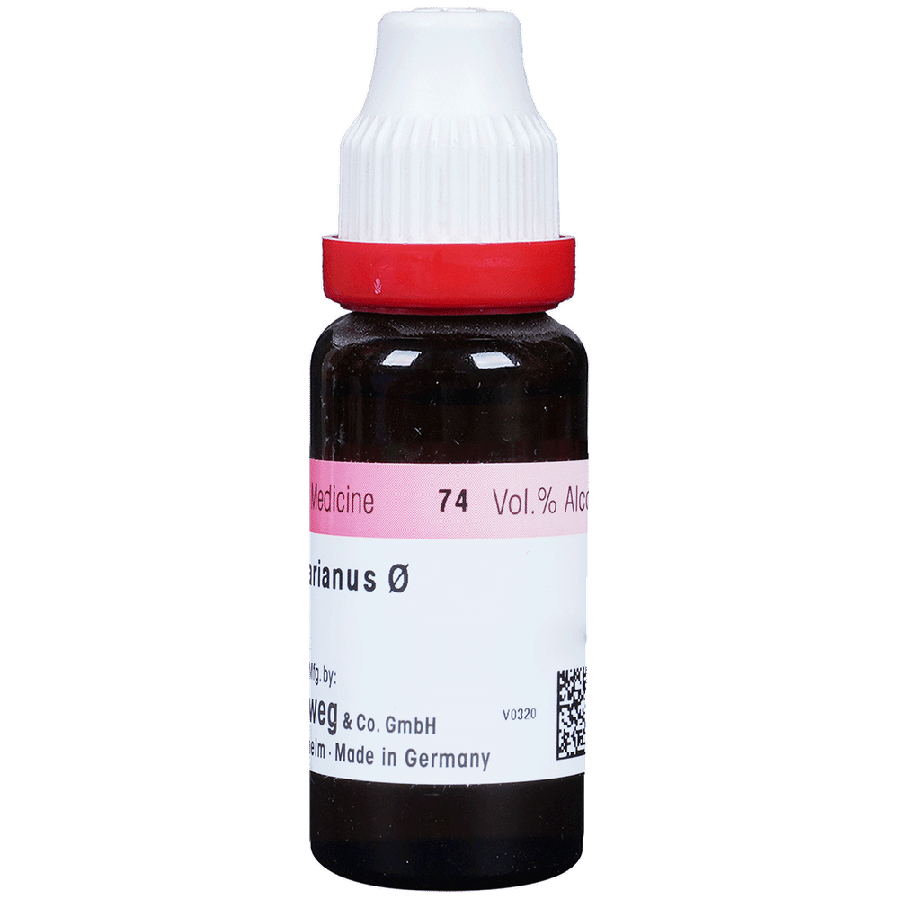 Dr. Reckeweg Carduus Mar Mother Tincture Q Dr. Reckeweg Carduus Mar Mother Tincture Q