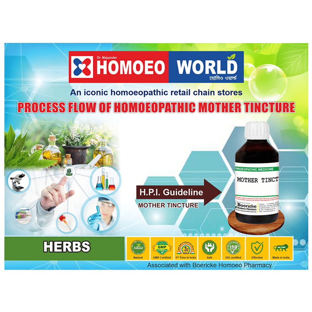Dr. Majumder Homeo World Achyranthes Aspera Mother Tincture Q (30 ml Each) Dr. Majumder Homeo World Achyranthes Aspera Mother Tincture Q (30 ml Each)