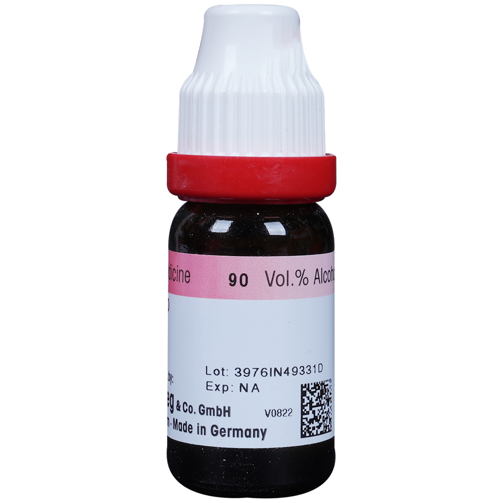 Dr. Reckeweg Ignatia Amara Dilution 200 CH Dr. Reckeweg Ignatia Amara Dilution 200 CH