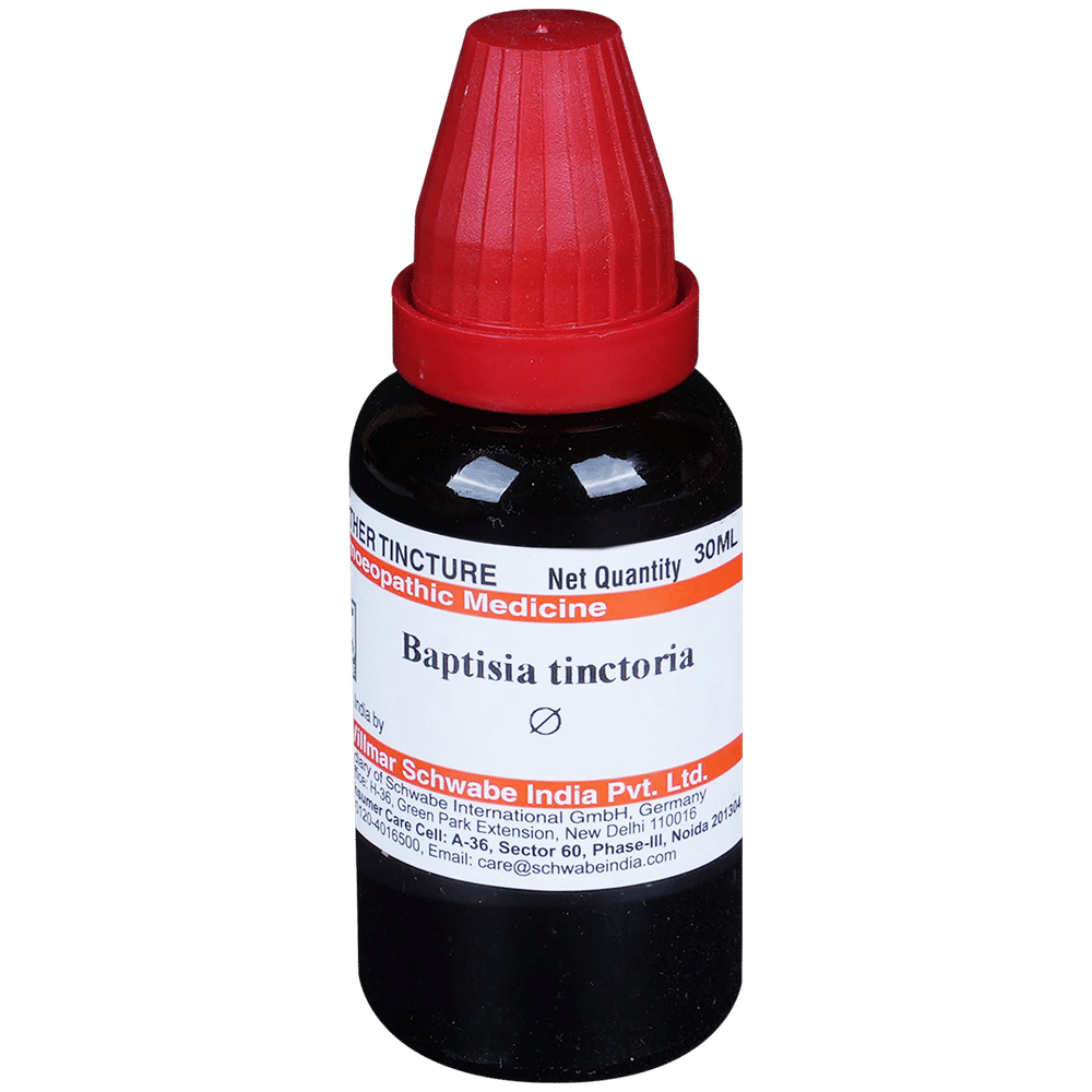 Dr Willmar Schwabe India Baptisia Tinctoria Mother Tincture Q Dr Willmar Schwabe India Baptisia Tinctoria Mother Tincture Q