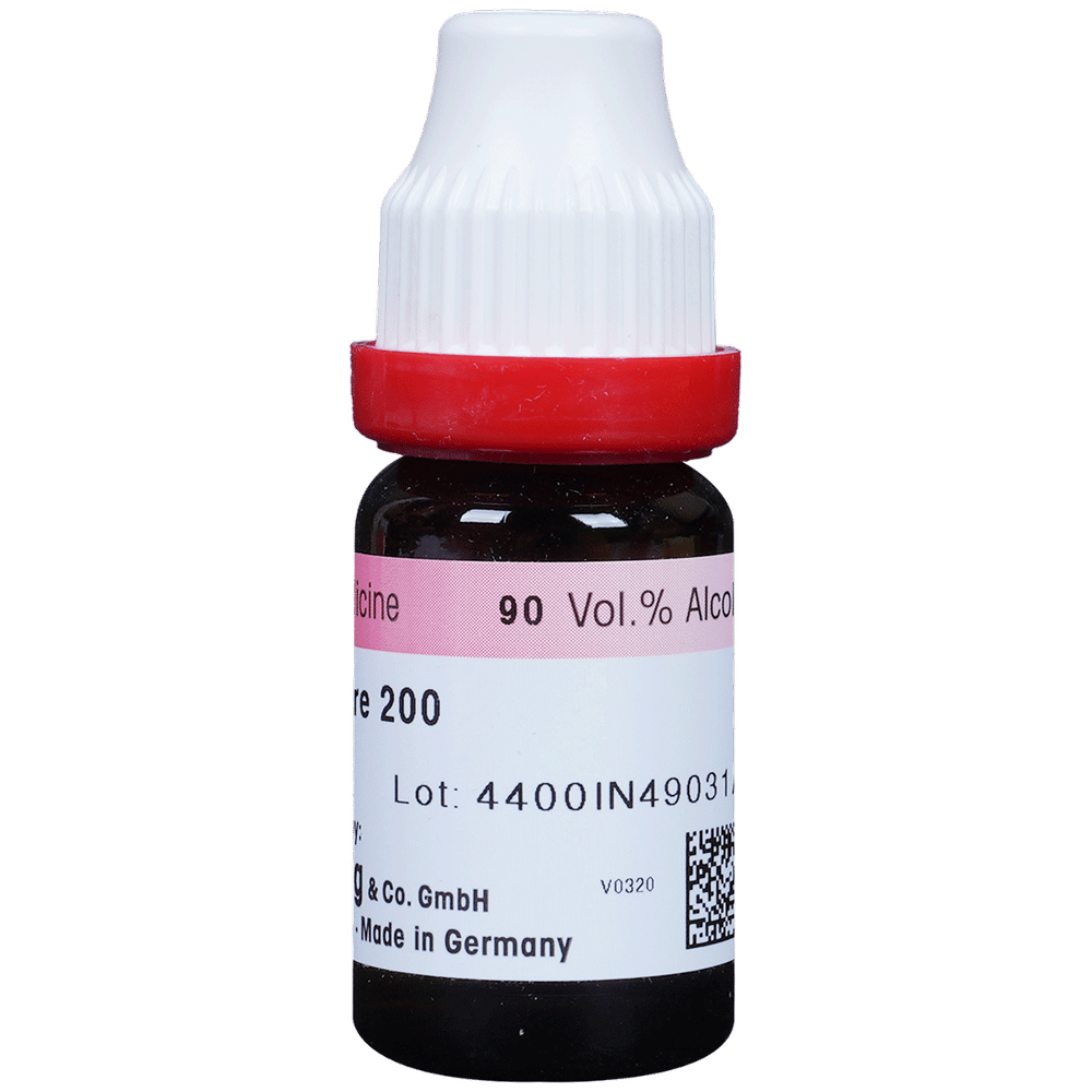 Dr. Reckeweg Ledum Pal Dilution 200 CH Dr. Reckeweg Ledum Pal Dilution 200 CH