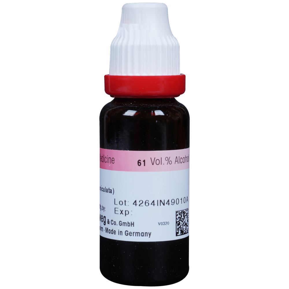 Dr. Reckeweg Kalmegh Mother Tincture Q Dr. Reckeweg Kalmegh Mother Tincture Q
