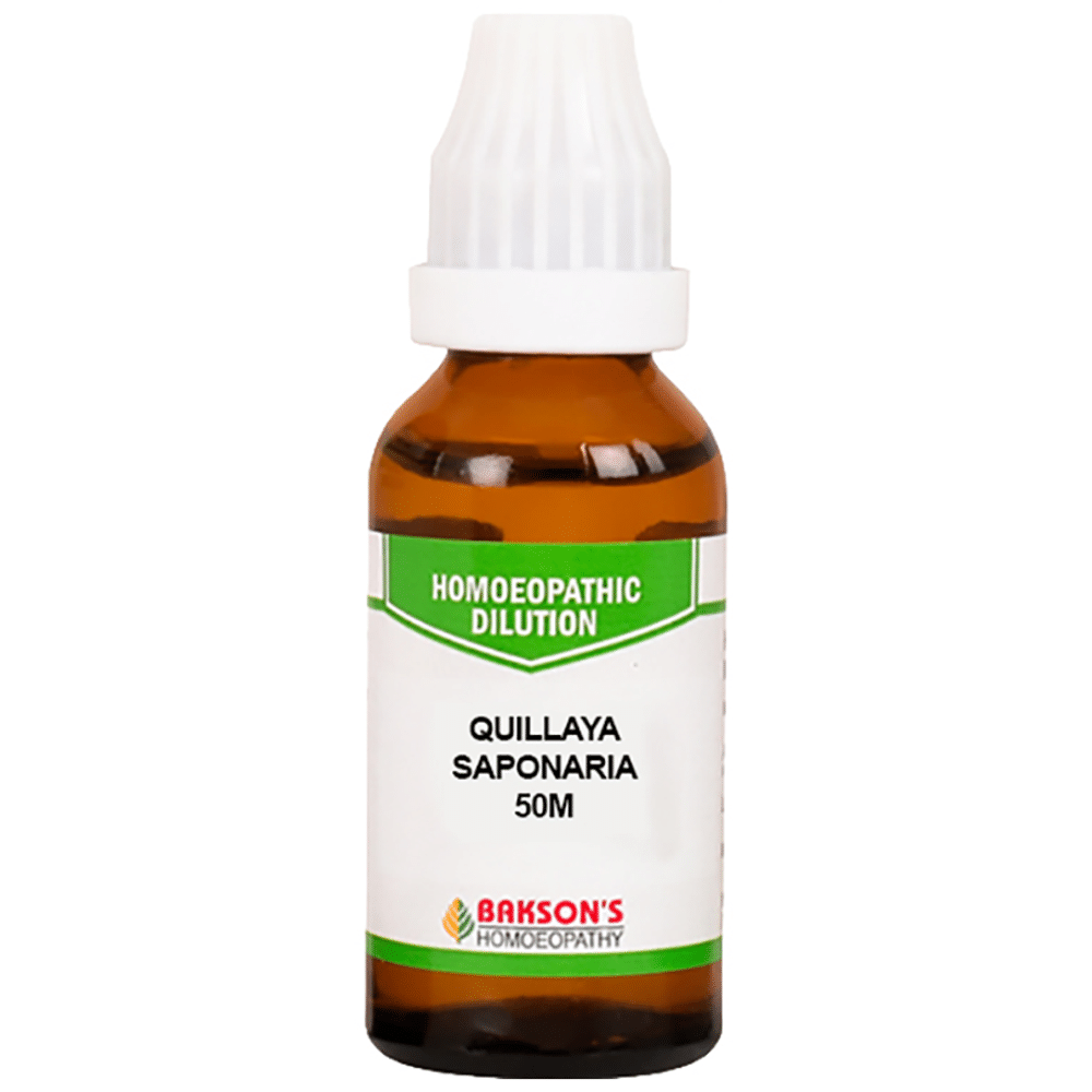 Bakson's Homeopathy Quillaya Saponaria Dilution 50M Bakson's Homeopathy Quillaya Saponaria Dilution 50M