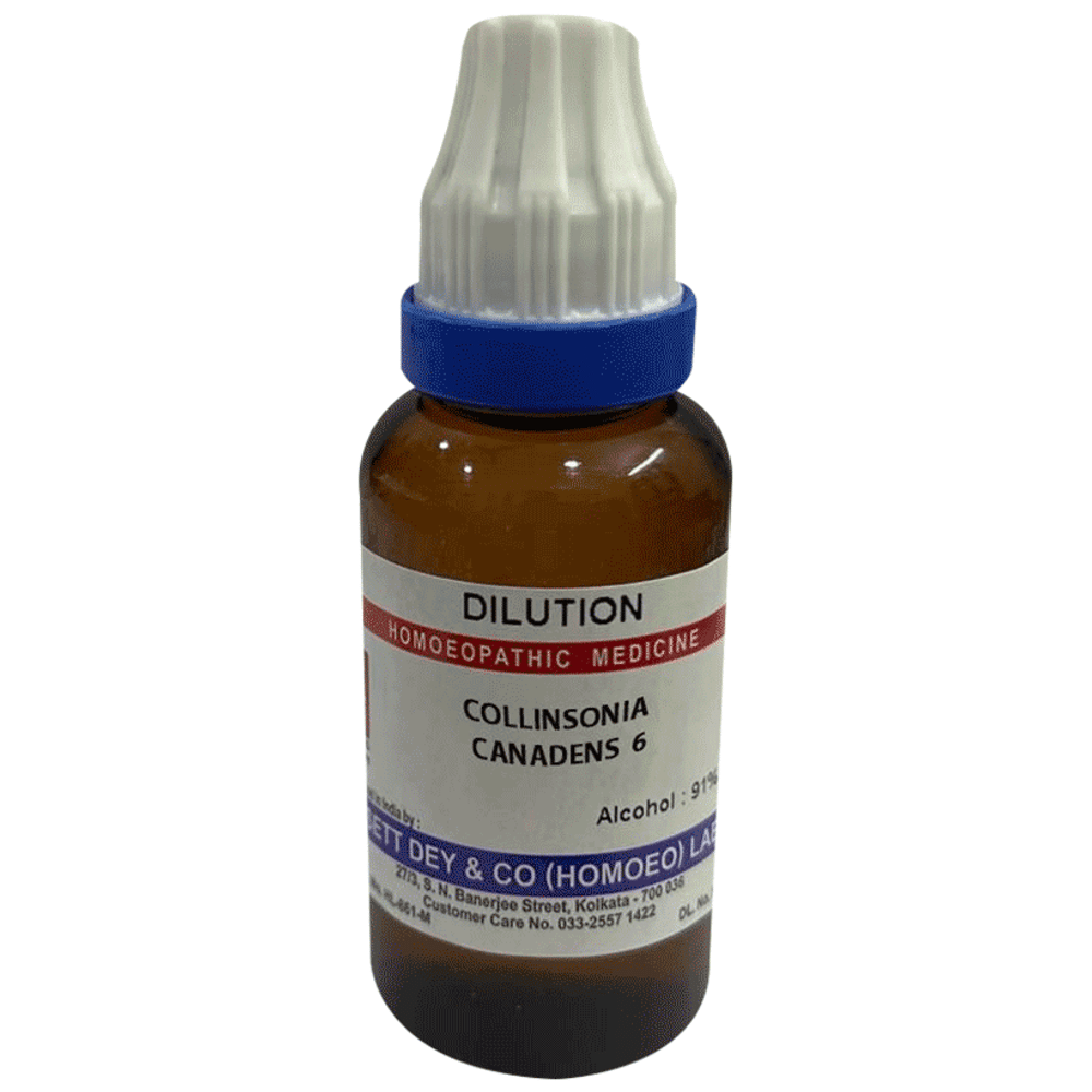 Sett Dey Collinsonia Canadens  Dilution 6
