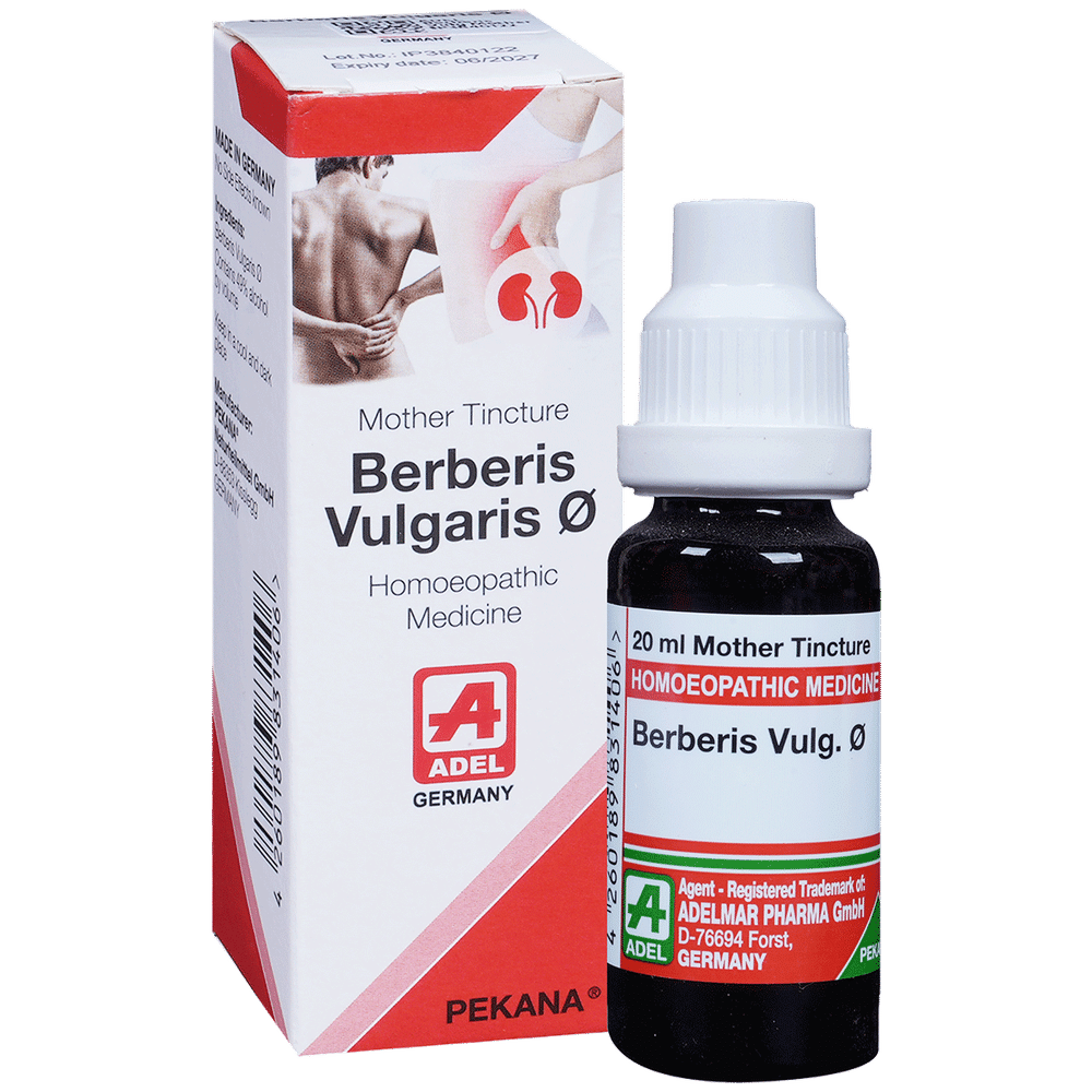 ADEL Berberis Vulg Mother Tincture Q ADEL Berberis Vulg Mother Tincture Q