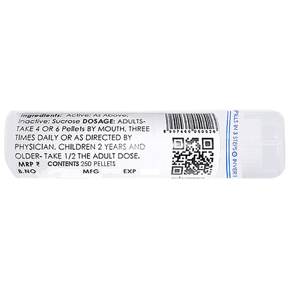 Rxhomeo Bellis Per 30C Rxhomeo Bellis Per 30C