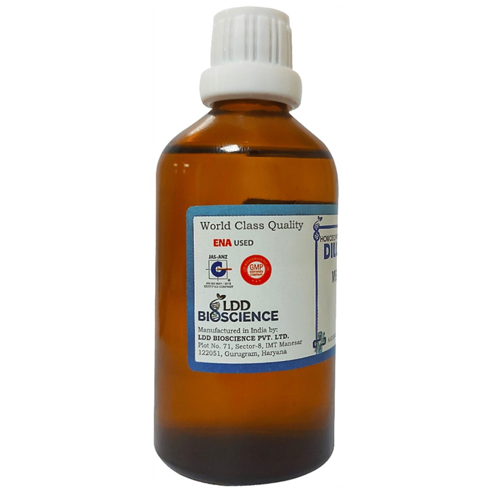 LDD Bioscience Mygale Lasiodora Dilution 1000 CH LDD Bioscience Mygale Lasiodora Dilution 1000 CH