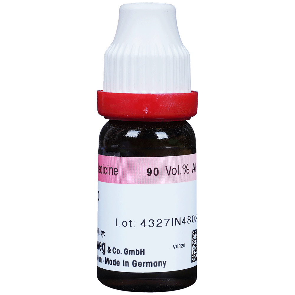 Dr. Reckeweg Lachesis Dilution 200 CH Dr. Reckeweg Lachesis Dilution 200 CH