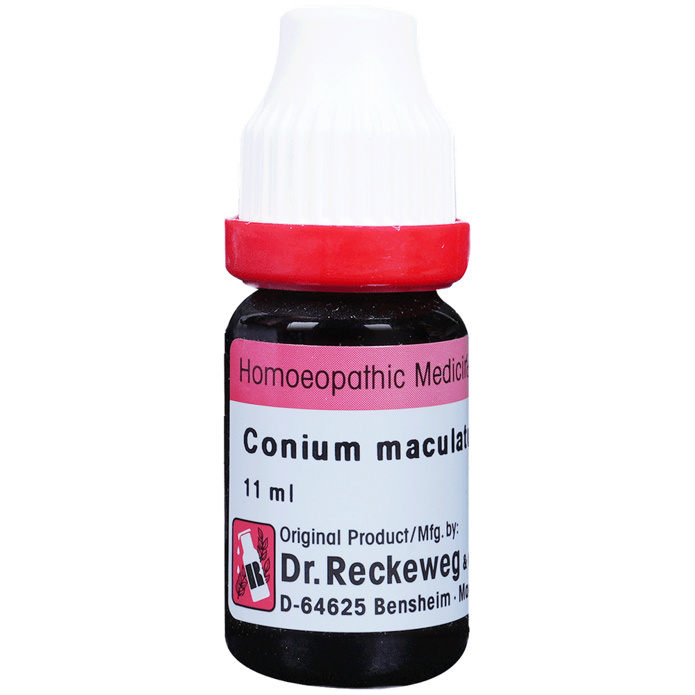 Dr. Reckeweg Conium Mac Dilution 30 CH Dr. Reckeweg Conium Mac Dilution 30 CH