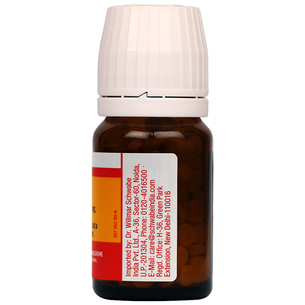 Dr Willmar Schwabe Germany Bio-Plasgen 17 Tablet Dr Willmar Schwabe Germany Bio-Plasgen 17 Tablet