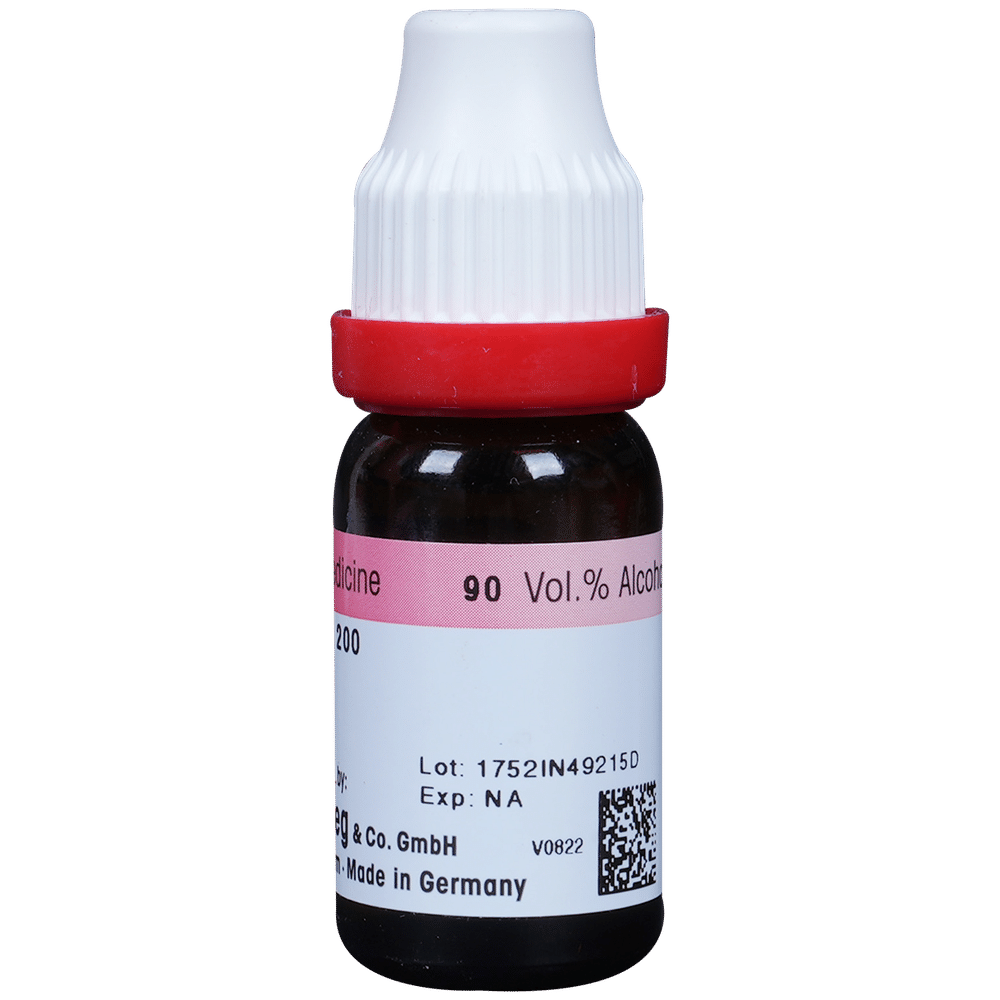 Dr. Reckeweg Arnica Mont Dilution 200 CH Dr. Reckeweg Arnica Mont Dilution 200 CH