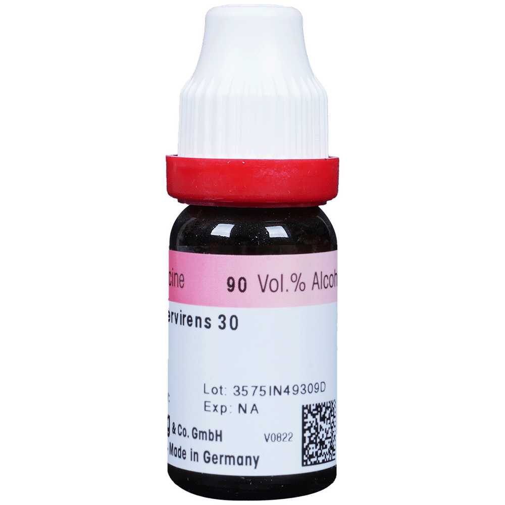Dr. Reckeweg Gelsemium Sempervirens Dilution 30 CH Dr. Reckeweg Gelsemium Sempervirens Dilution 30 CH