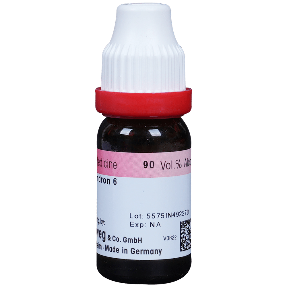 Dr. Reckeweg Rhus Tox Dilution 6 CH Dr. Reckeweg Rhus Tox Dilution 6 CH