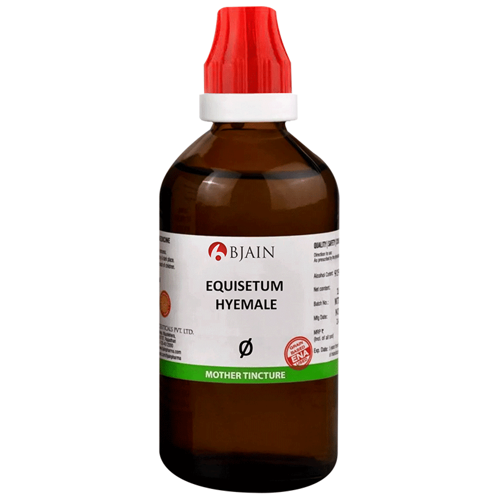 Bjain Equisetum Hyemale Mother Tincture Q Bjain Equisetum Hyemale Mother Tincture Q