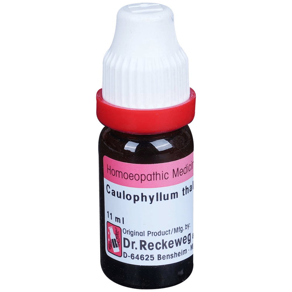 Dr. Reckeweg Caulophyllum Dilution 30 CH Dr. Reckeweg Caulophyllum Dilution 30 CH