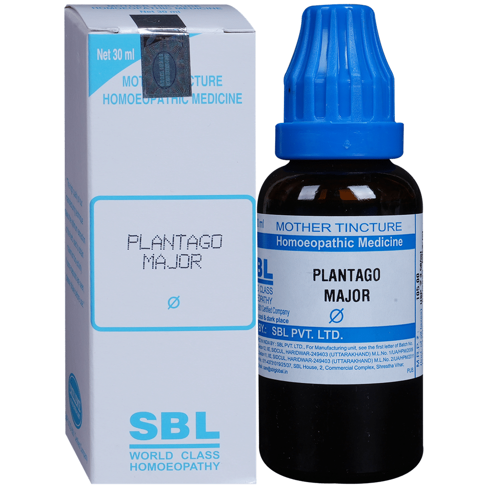 SBL Plantago Major Mother Tincture Q SBL Plantago Major Mother Tincture Q