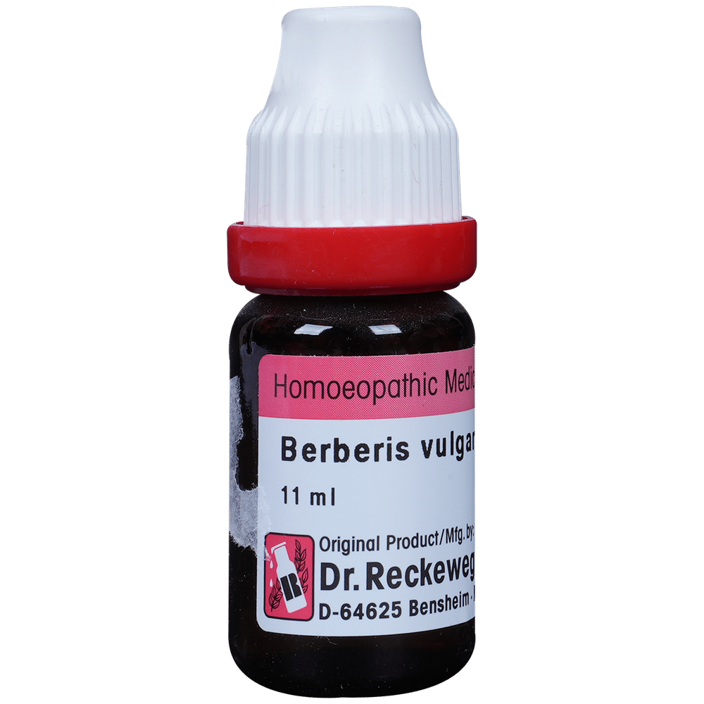 Dr. Reckeweg Berberis Vul Dilution 30 CH Dr. Reckeweg Berberis Vul Dilution 30 CH
