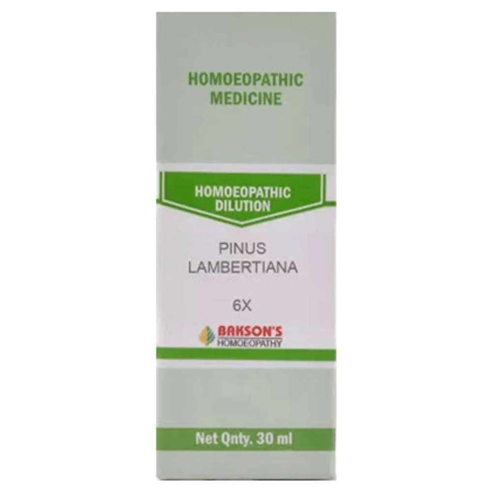 Bakson's Homeopathy Pinus Lambertiana Dilution 6X