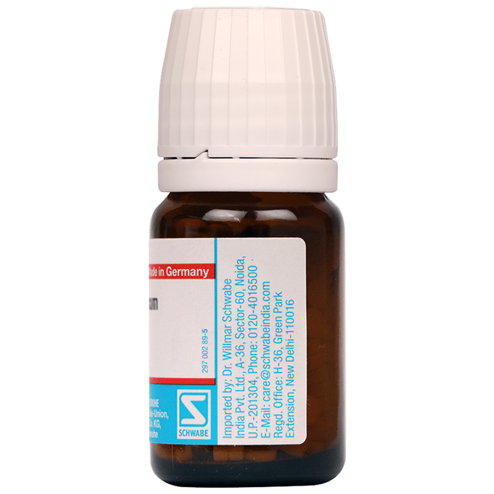 Dr Willmar Schwabe Germany Calcarea Fluorica Biochemic Tablet 6X Dr Willmar Schwabe Germany Calcarea Fluorica Biochemic Tablet 6X