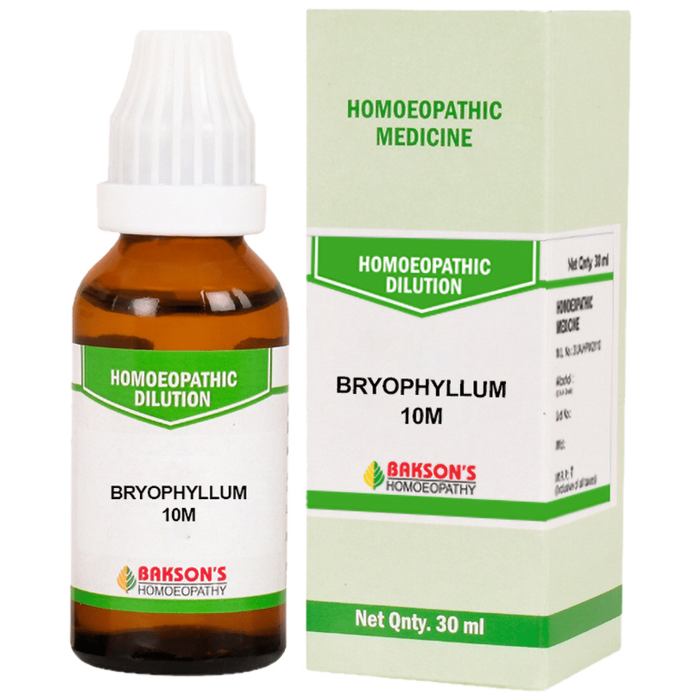 Bakson's Homeopathy Bryophyllum Dilution 10M Bakson's Homeopathy Bryophyllum Dilution 10M