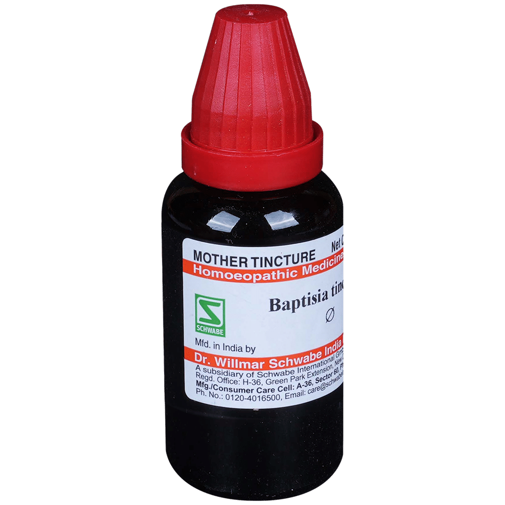 Dr Willmar Schwabe India Baptisia Tinctoria Mother Tincture Q Dr Willmar Schwabe India Baptisia Tinctoria Mother Tincture Q