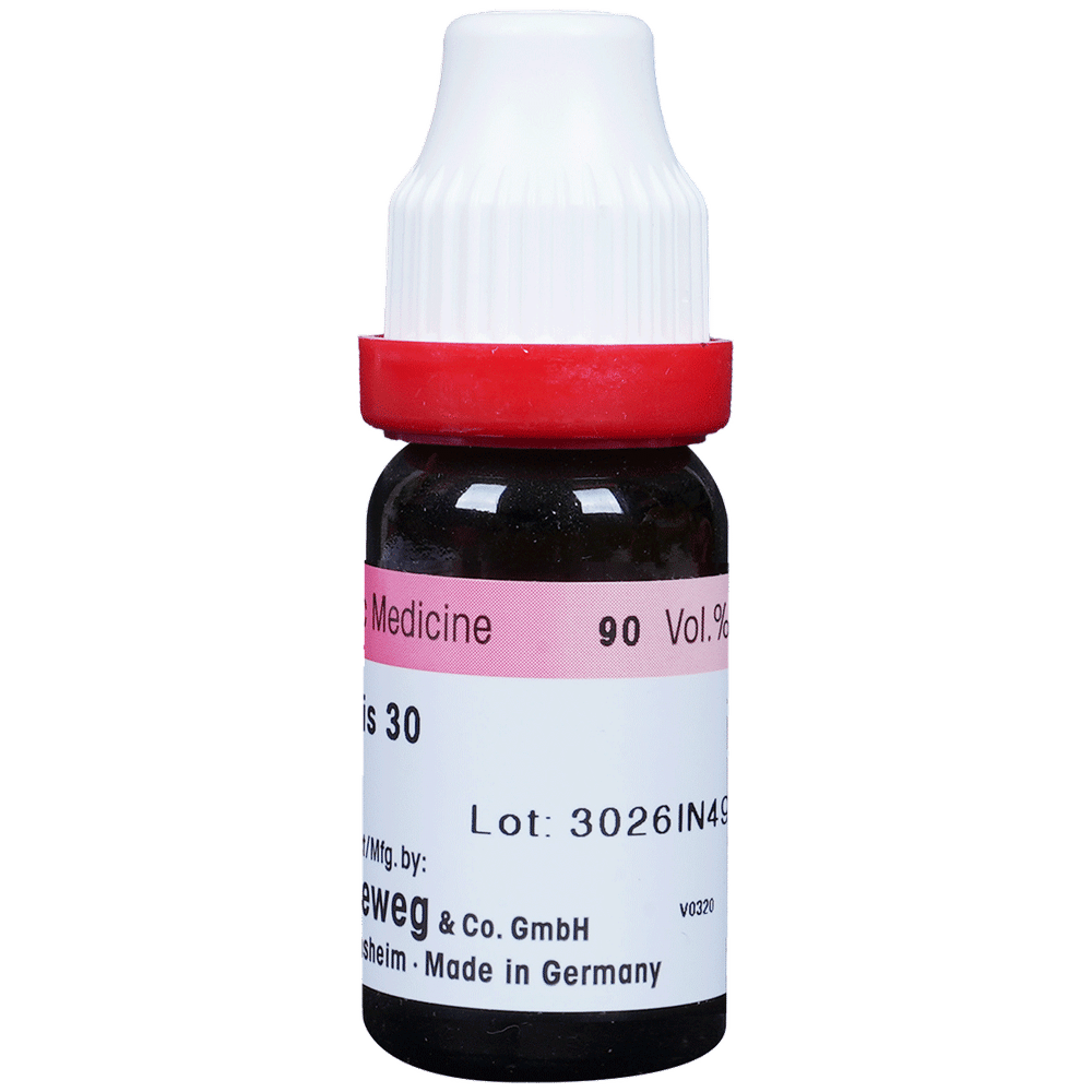 Dr. Reckeweg Colocynthis Dilution 30 CH Dr. Reckeweg Colocynthis Dilution 30 CH