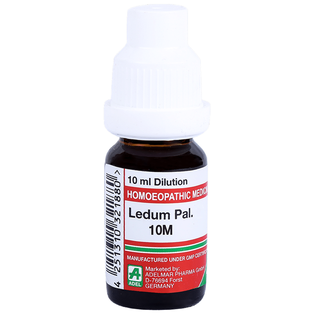 ADEL Ledum Pal. Dilution 10M ADEL Ledum Pal. Dilution 10M