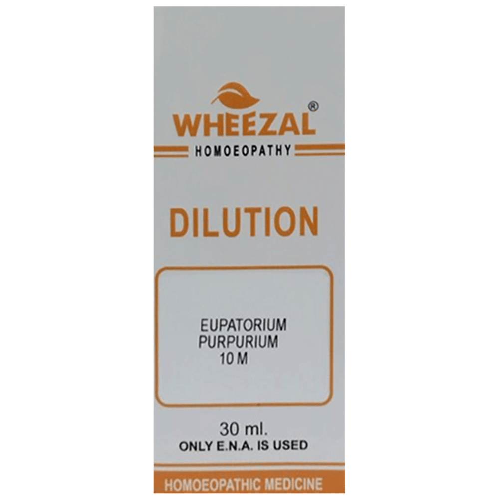 Wheezal Eupatorium Purpurium Dilution 10M Wheezal Eupatorium Purpurium Dilution 10M