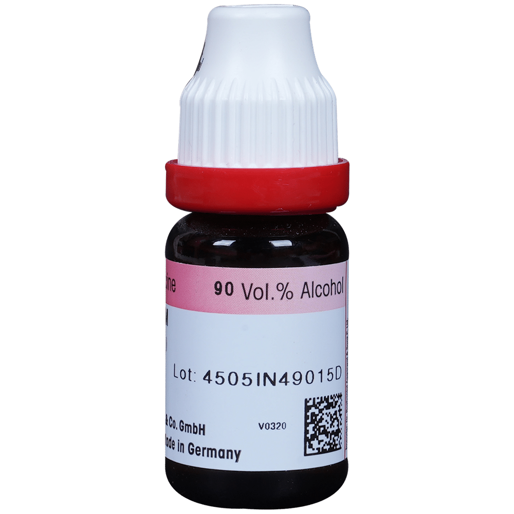 Dr. Reckeweg Lycopodium Dilution 1000 CH Dr. Reckeweg Lycopodium Dilution 1000 CH
