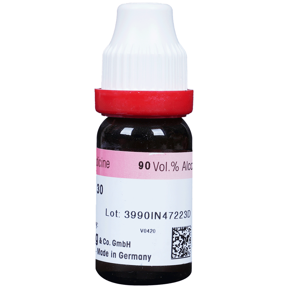Dr. Reckeweg Influenzinum Dilution 30 CH Dr. Reckeweg Influenzinum Dilution 30 CH