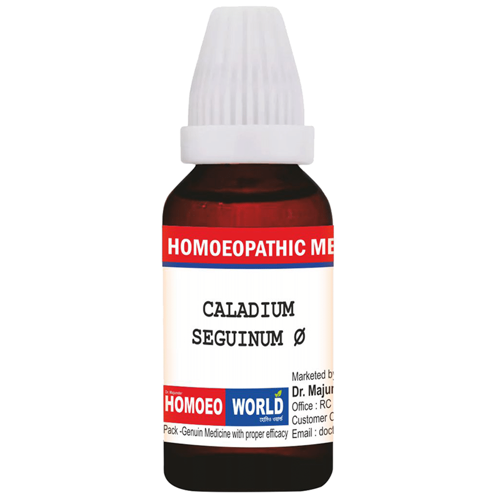 Dr. Majumder Homeo World Caladium Seguinum Mother Tincture (30ml Each) Q Dr. Majumder Homeo World Caladium Seguinum Mother Tincture (30ml Each) Q