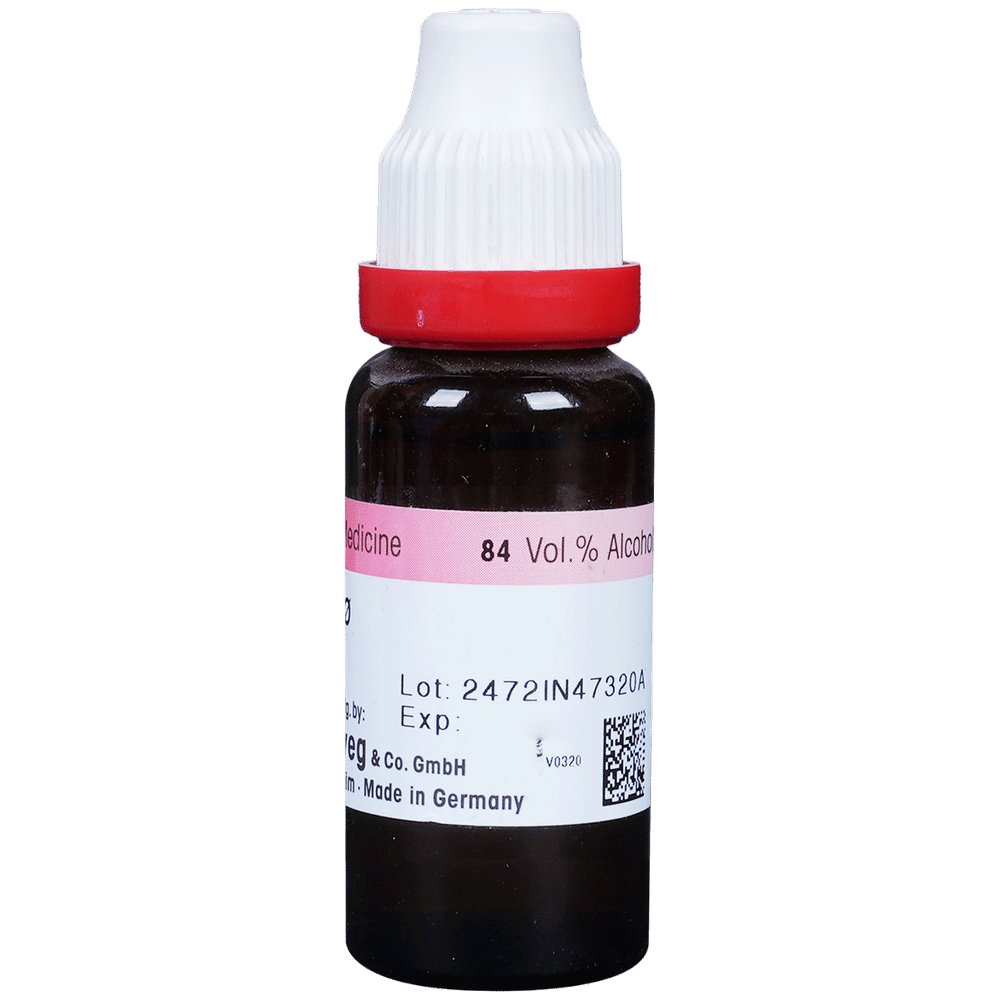 Dr. Reckeweg Camphora Mother Tincture Q