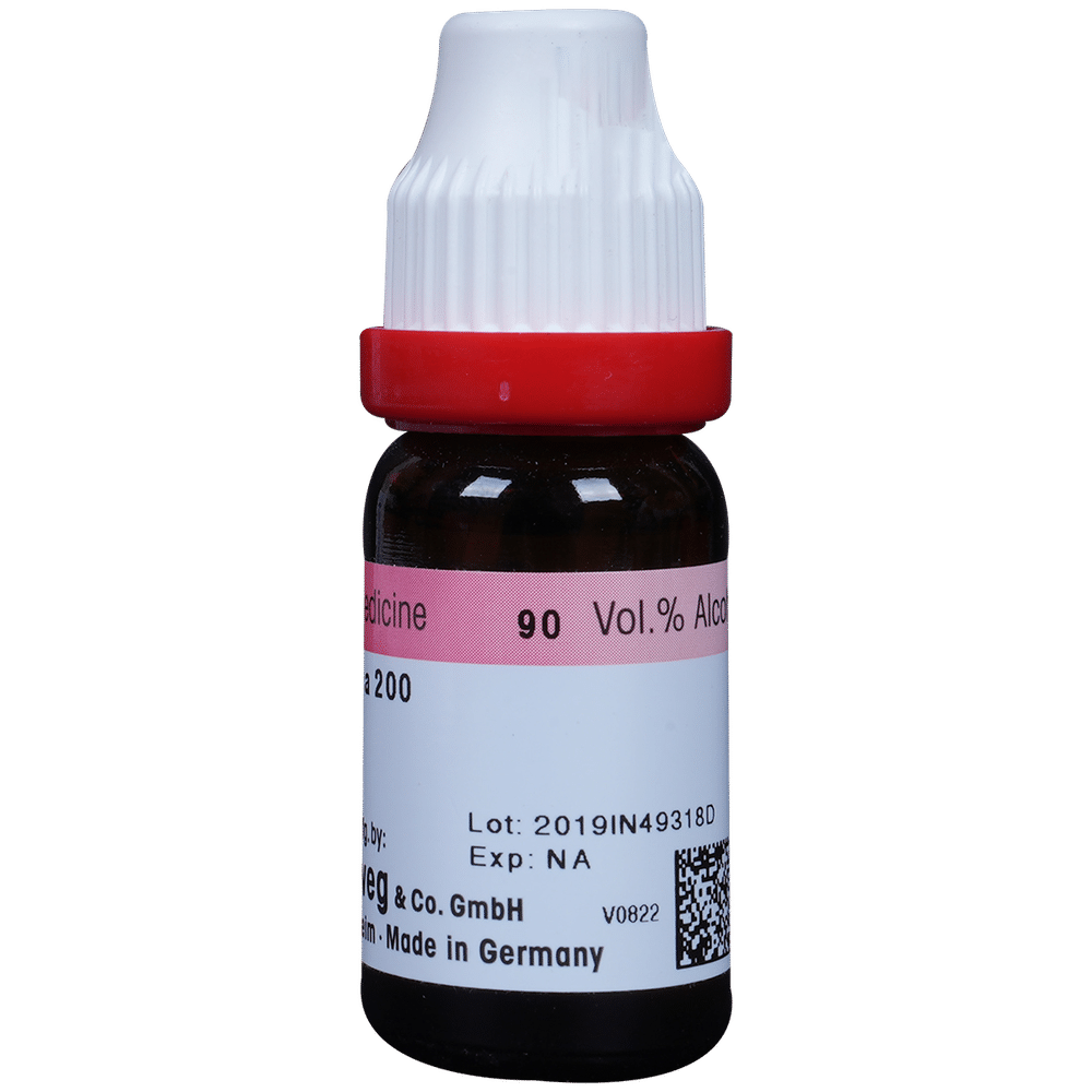 Dr. Reckeweg Baryta Carb Dilution 200 CH Dr. Reckeweg Baryta Carb Dilution 200 CH