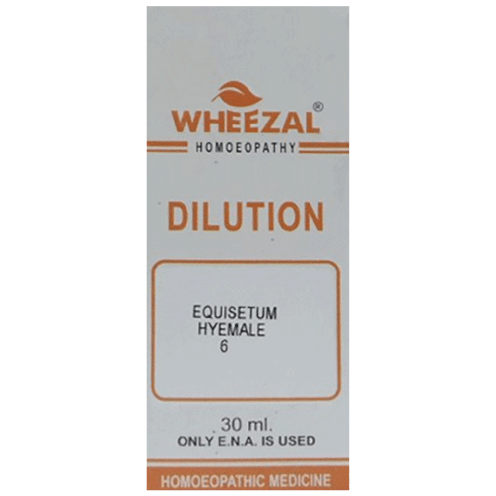 Wheezal Equisteum Hyemale Dilution 6 Wheezal Equisteum Hyemale Dilution 6