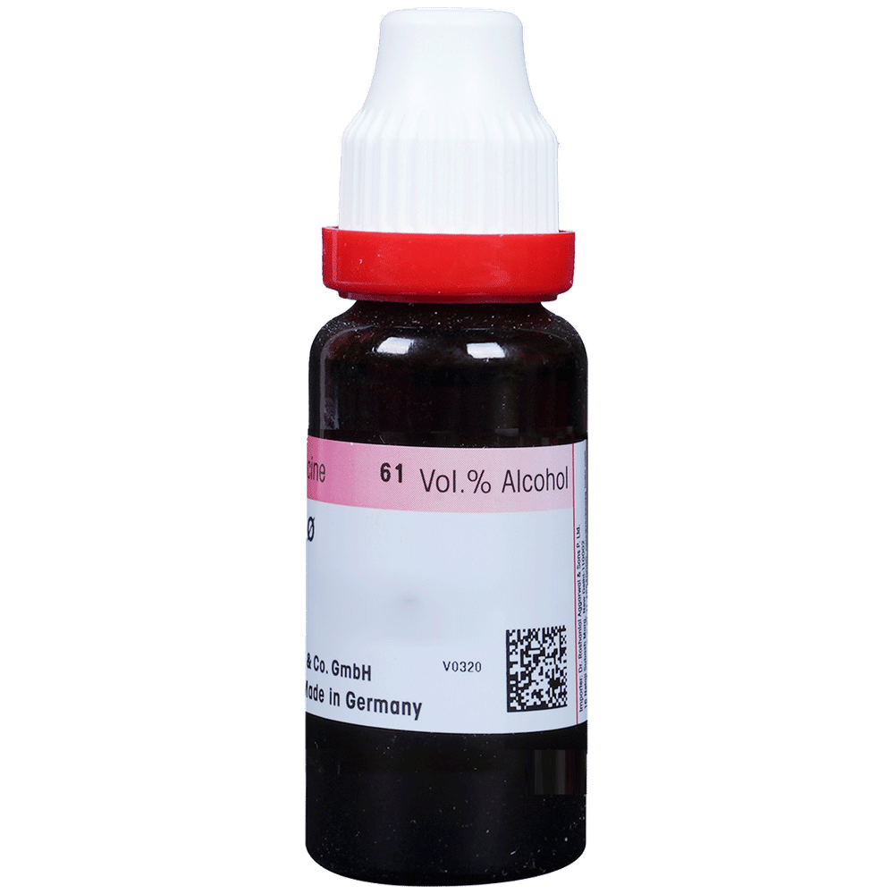 Dr. Reckeweg Carica Papaya Mother Tincture Q 