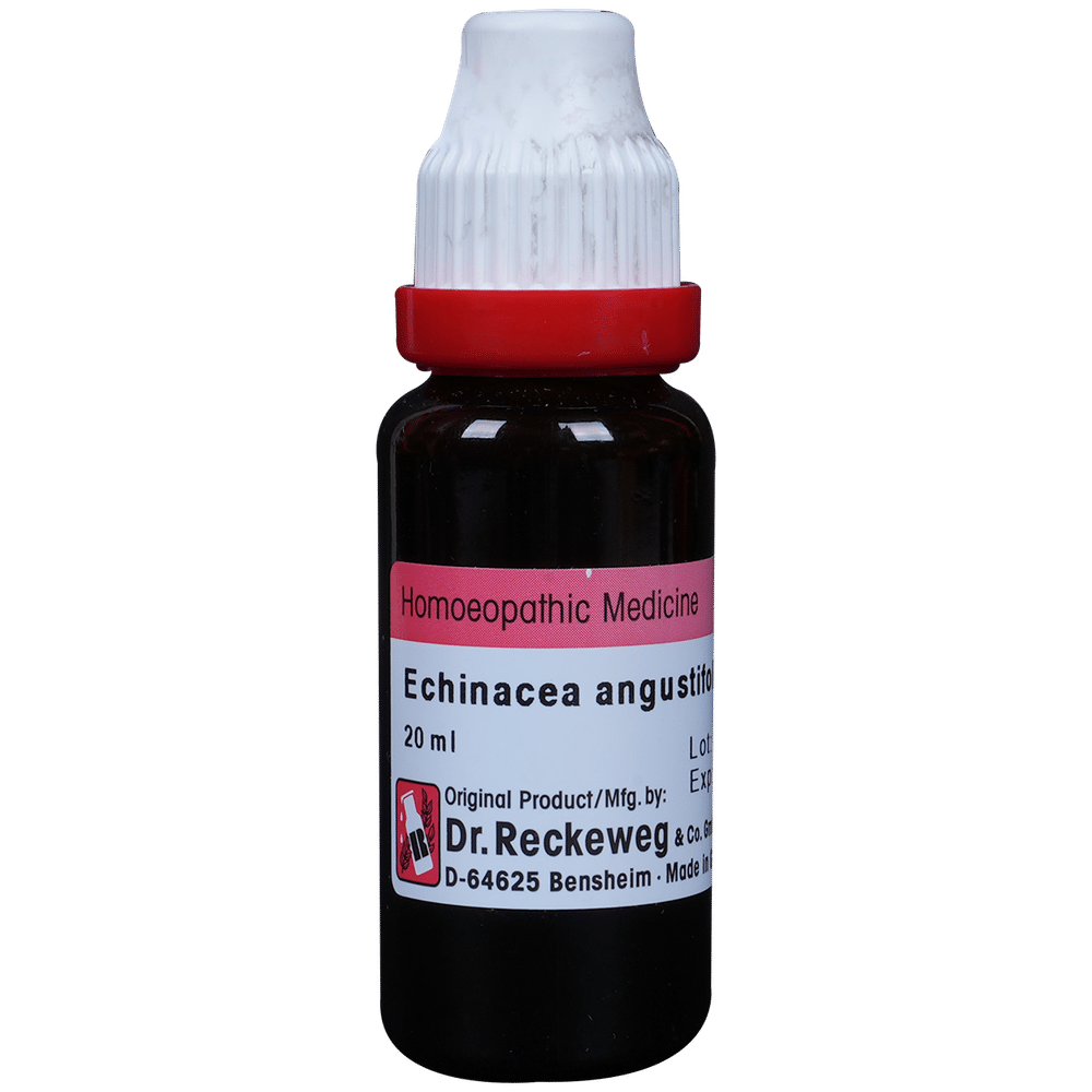 Dr. Reckeweg Echinacea Ang Mother Tincture Q Dr. Reckeweg Echinacea Ang Mother Tincture Q