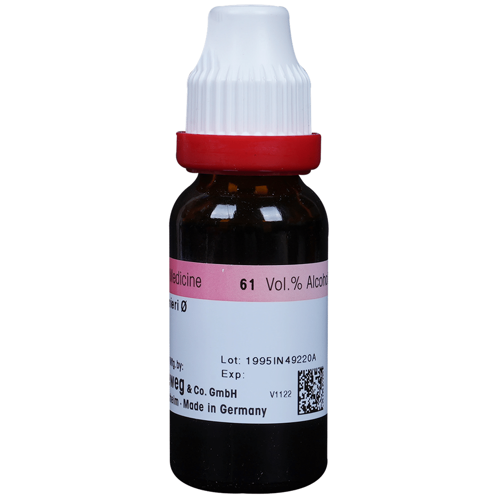Dr. Reckeweg Bacopa Monnieri (Brahmi) Mother Tincture Q Dr. Reckeweg Bacopa Monnieri (Brahmi) Mother Tincture Q