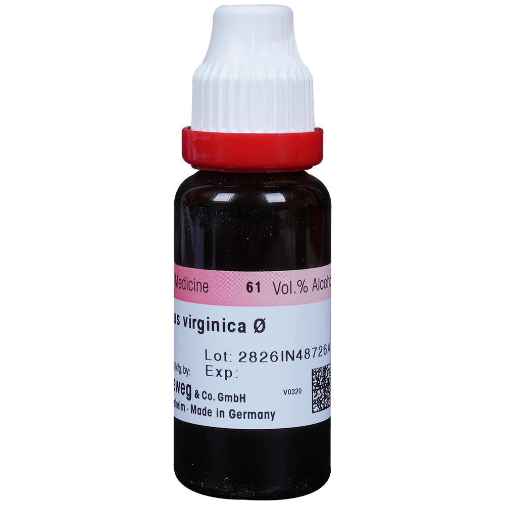 Dr. Reckeweg Chionanthus V Mother Tincture Q Dr. Reckeweg Chionanthus V Mother Tincture Q