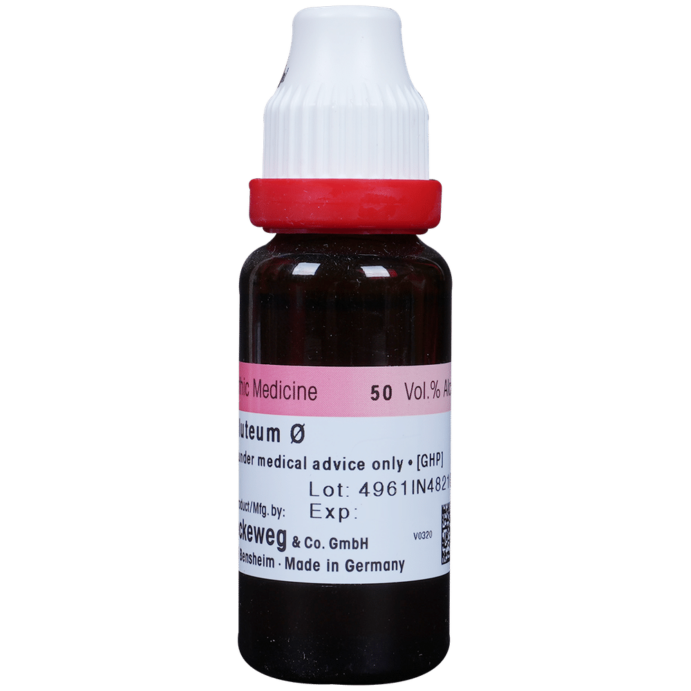 Dr. Reckeweg Nuphar Luteum Mother Tincture Q Dr. Reckeweg Nuphar Luteum Mother Tincture Q