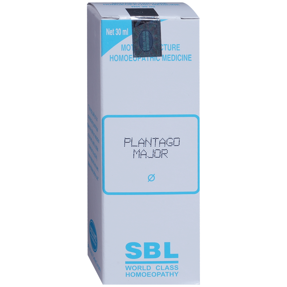 SBL Plantago Major Mother Tincture Q SBL Plantago Major Mother Tincture Q