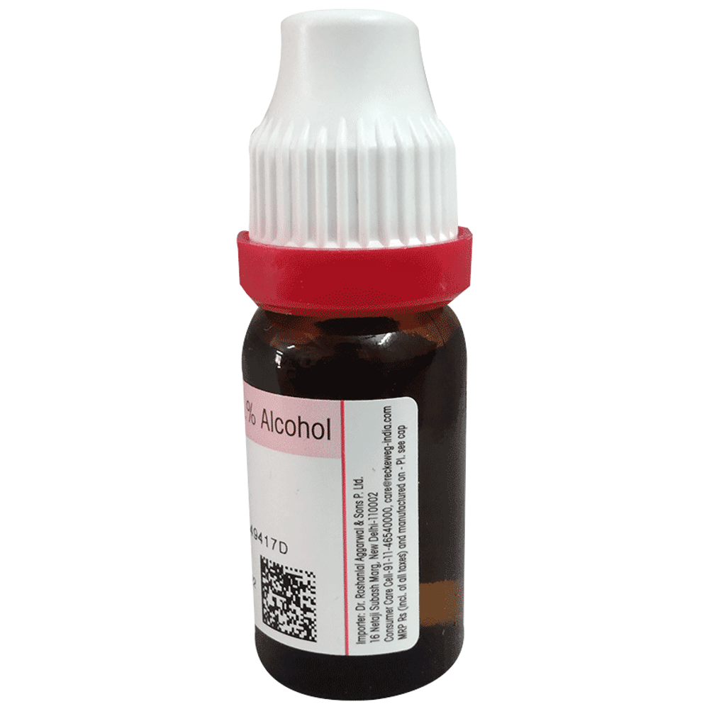 Dr. Reckeweg Rheum Dilution 30 CH Dr. Reckeweg Rheum Dilution 30 CH