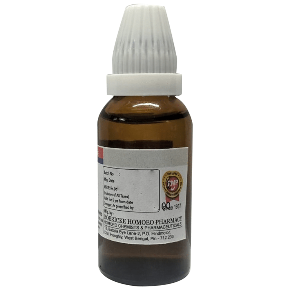 Dr. Majumder Homeo World Bryonia Alba Dilution 6 (30ml Each) Dr. Majumder Homeo World Bryonia Alba Dilution 6 (30ml Each)