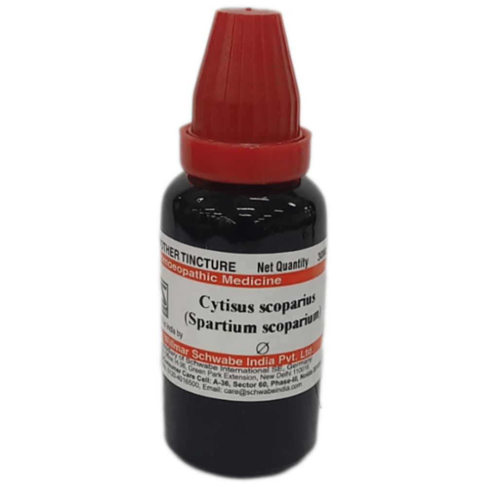 Dr Willmar Schwabe India Spartium Scoparium Mother Tincture Q Dr Willmar Schwabe India Spartium Scoparium Mother Tincture Q