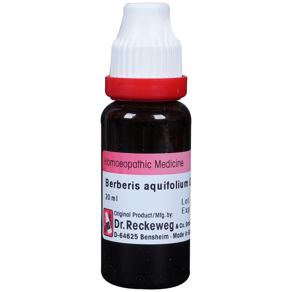 Dr. Reckeweg Berberis Aquif Mother Tincture Q Dr. Reckeweg Berberis Aquif Mother Tincture Q