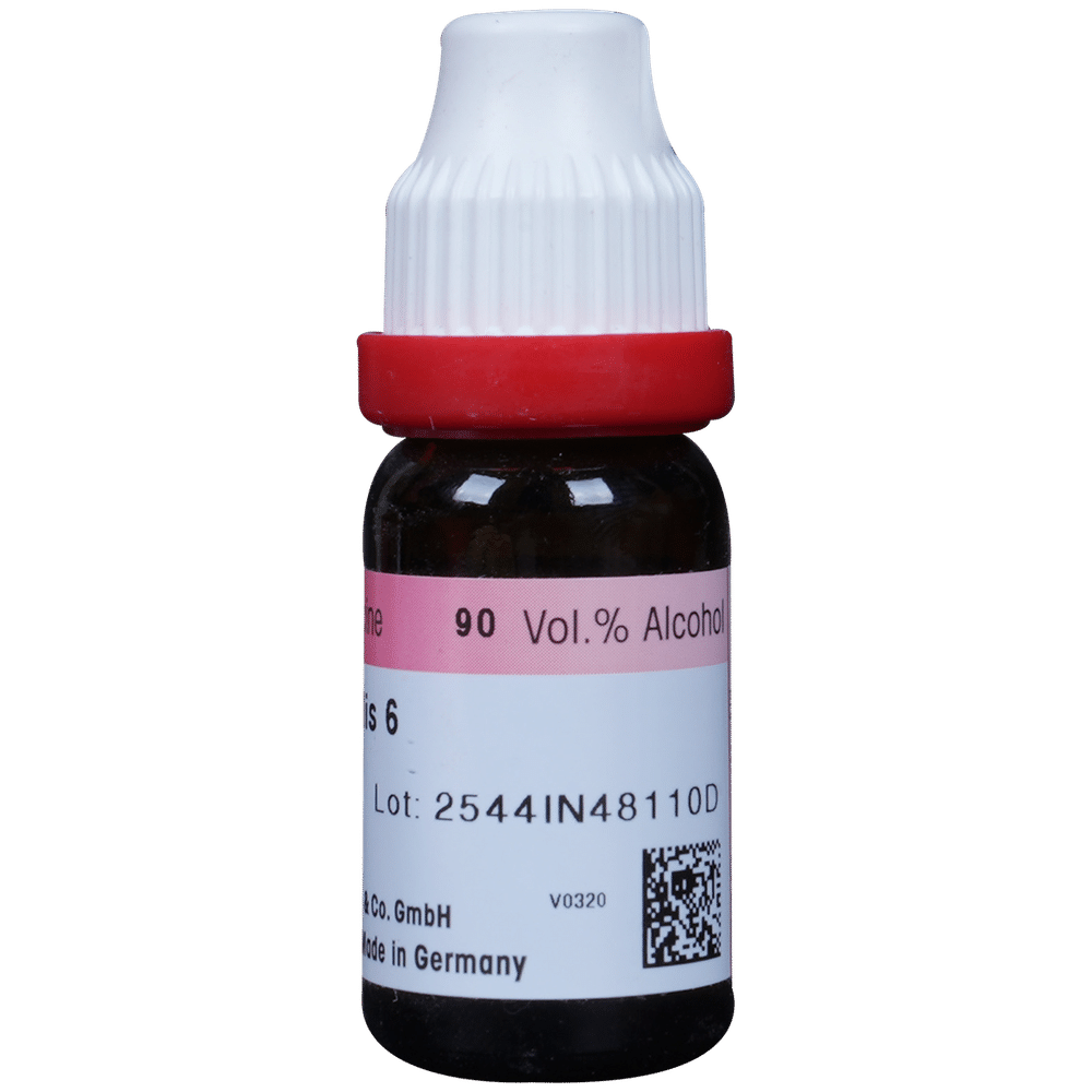 Dr. Reckeweg Carbo Vegetabilis Dilution 6 CH Dr. Reckeweg Carbo Vegetabilis Dilution 6 CH